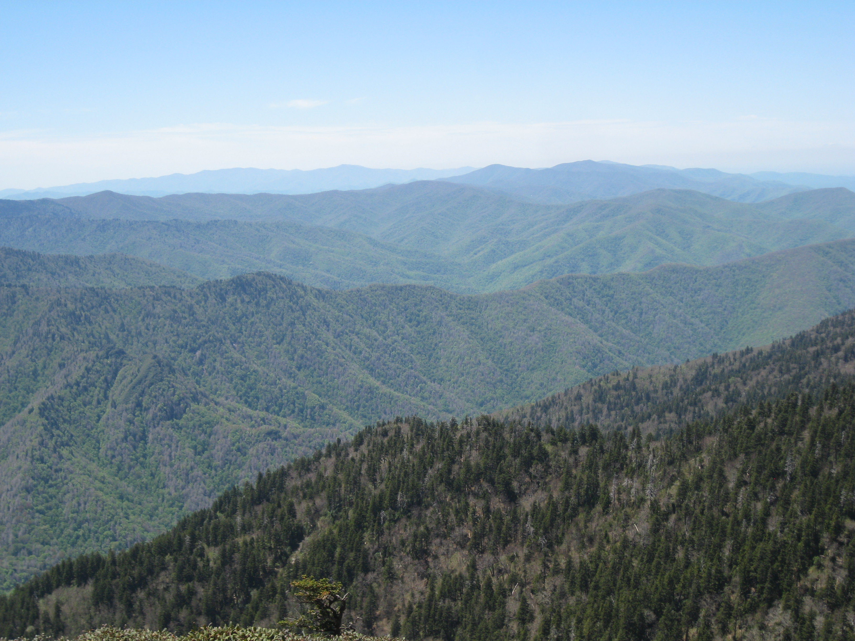 Mt Leconte